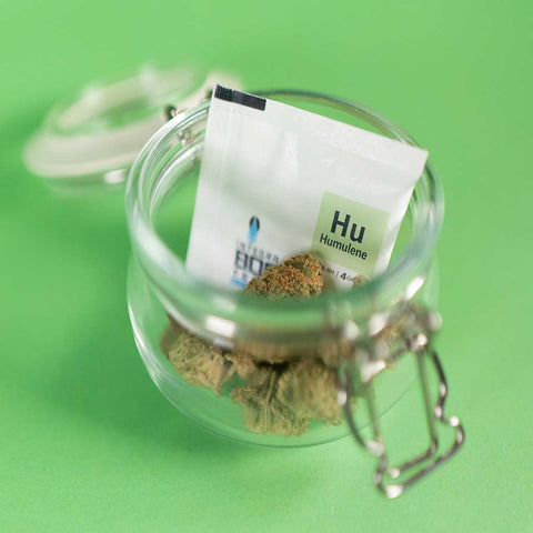 Integra Boost 62% Terpene 4g verschiedene Sorten-HU