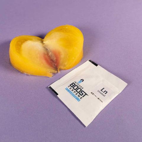 Integra Boost 62% Terpene 4g verschiedene Sorten-LN