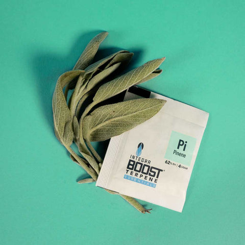 Integra Boost 62% Terpene 4g verschiedene Sorten-PI