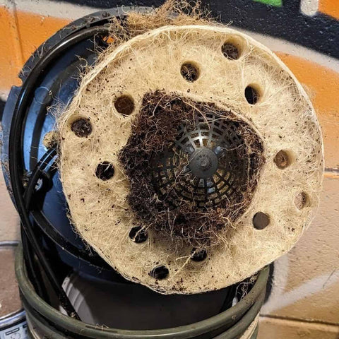 Autopot Airdome Kit Belüftungskuppel-Wurzelwerk