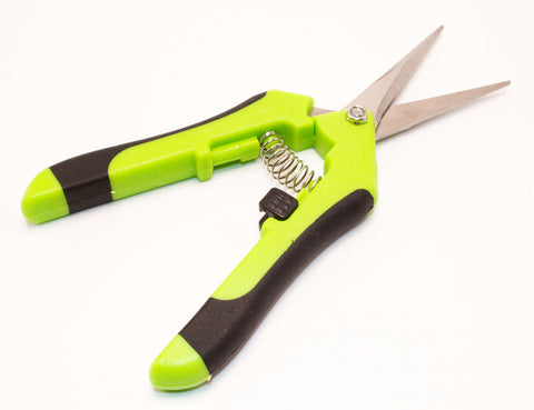 Garten Präzisionsschere Professional-Hinten