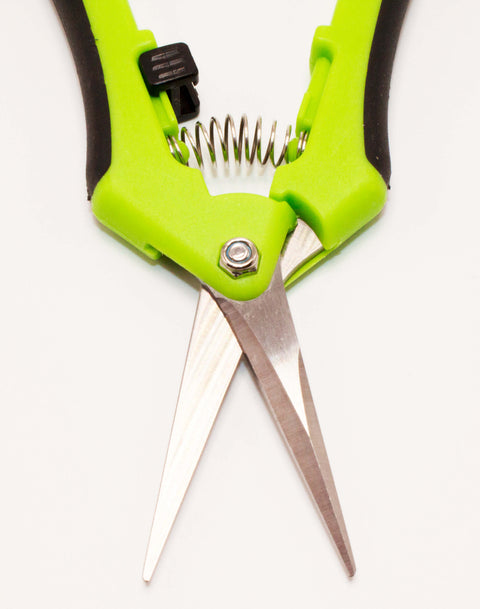 Garten Präzisionsschere Professional-Klinge