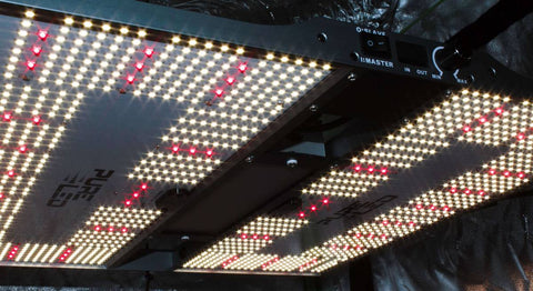 Pure LED Quantum Board Q320 V2.0 Pflanzenlampe-Angeschaltet