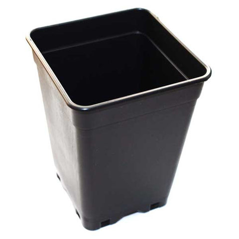 Pflanztopf 1 Liter Schwarz 10x10cm